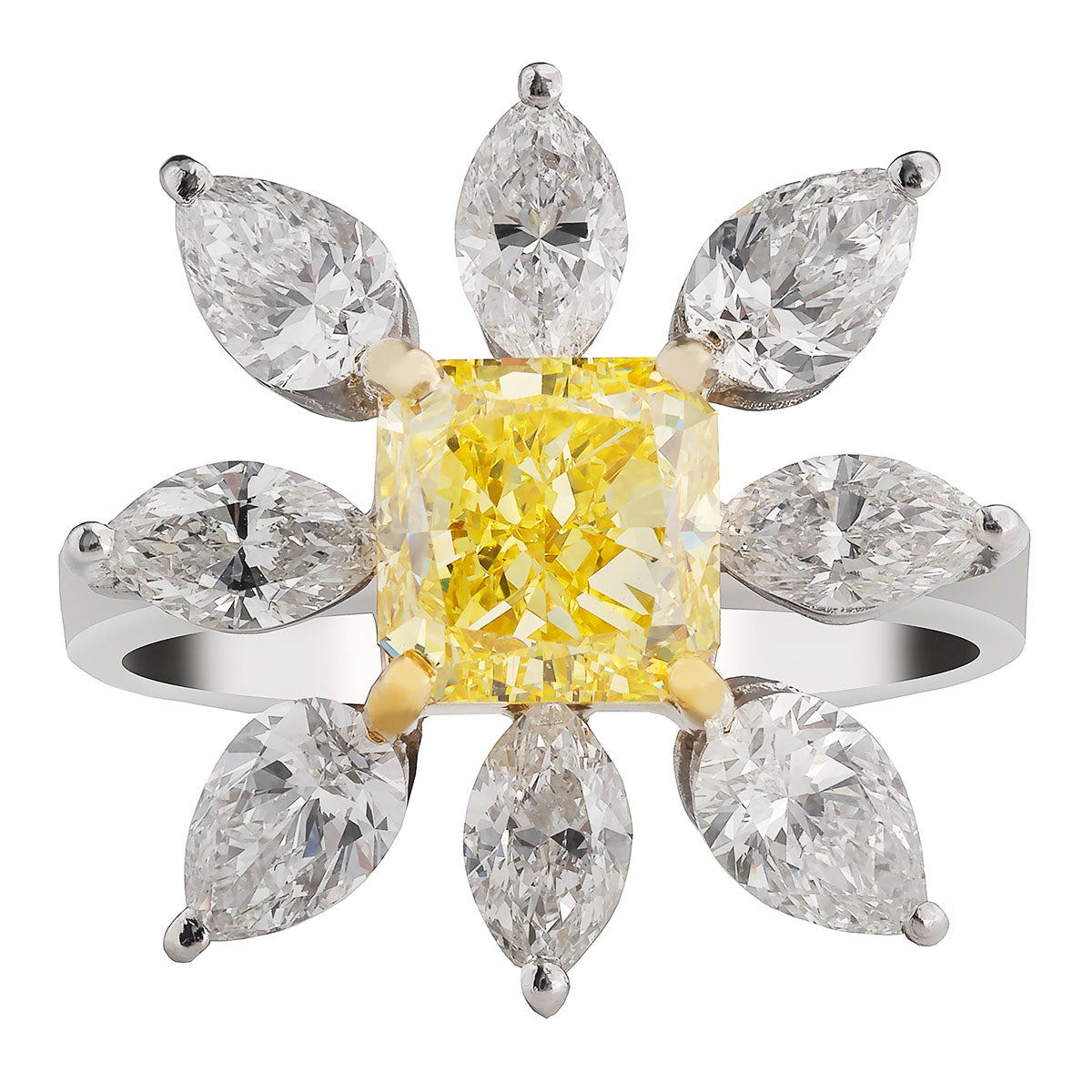 Northern Cross Australian Diamond Suite (3 Piece)